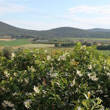 Agriturismo Podere Montenero Alberese Exterior foto
