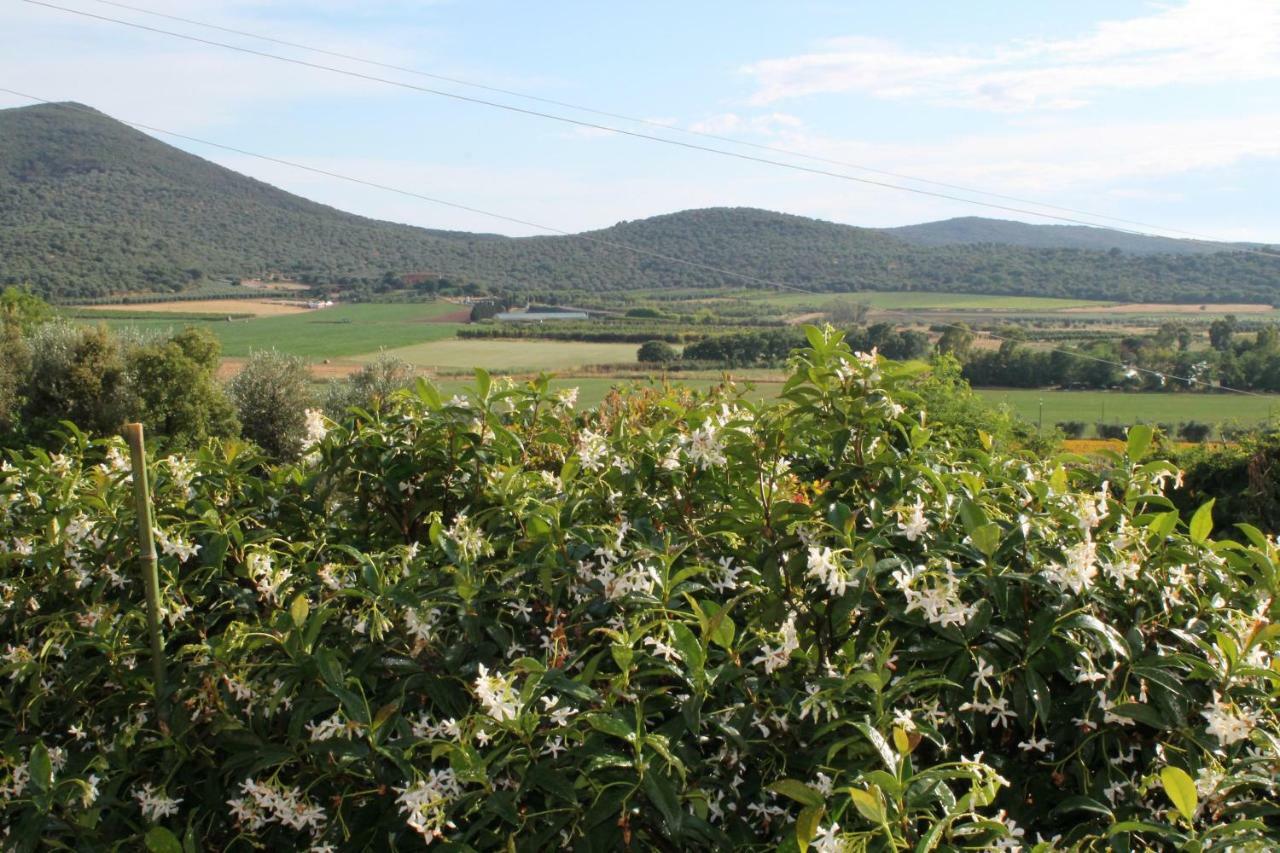 Agriturismo Podere Montenero Alberese Exterior foto